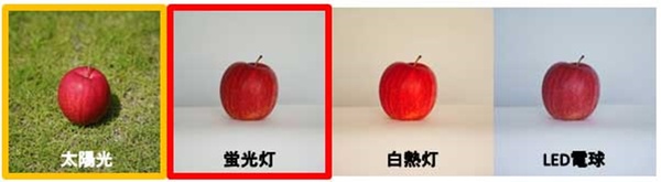 光源色_違い.jpg