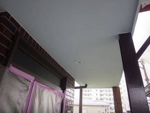 kawaguchisiHTsekoucyuuIP10094 (71).JPG