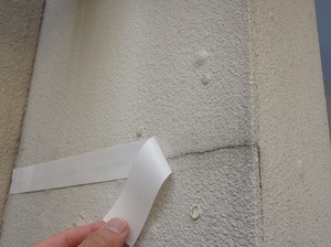 warabishi.HJ.sekoucyuu.IP10098 (35).JPG